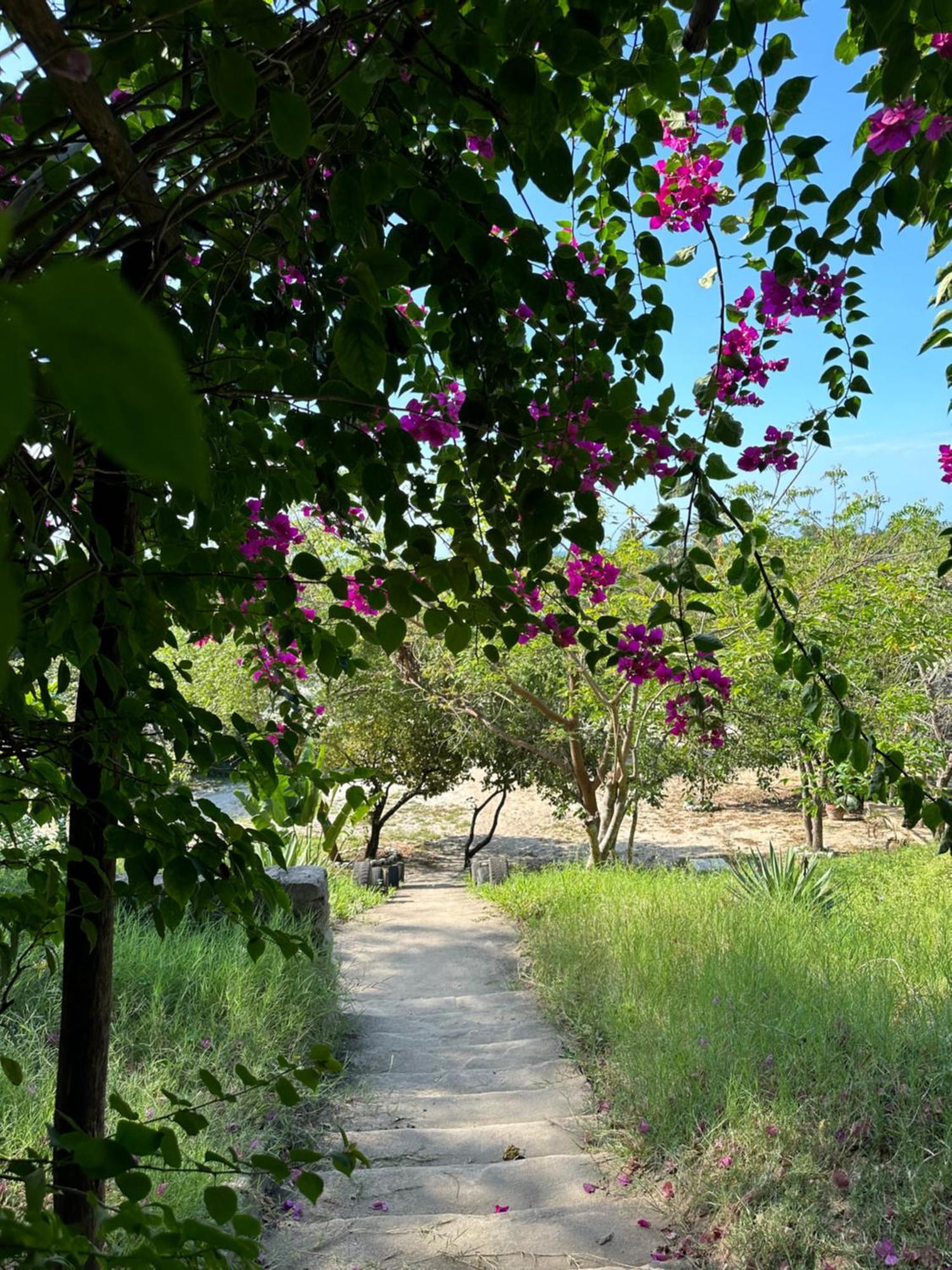 Mikoko Beach & Cottages 바가모요 외부 사진